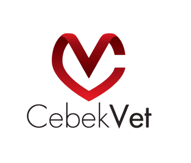CebekVet