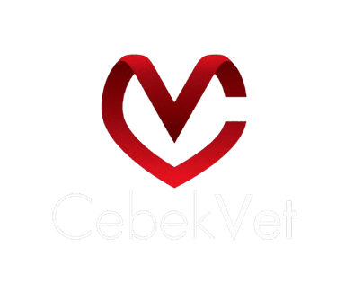 CebekVet