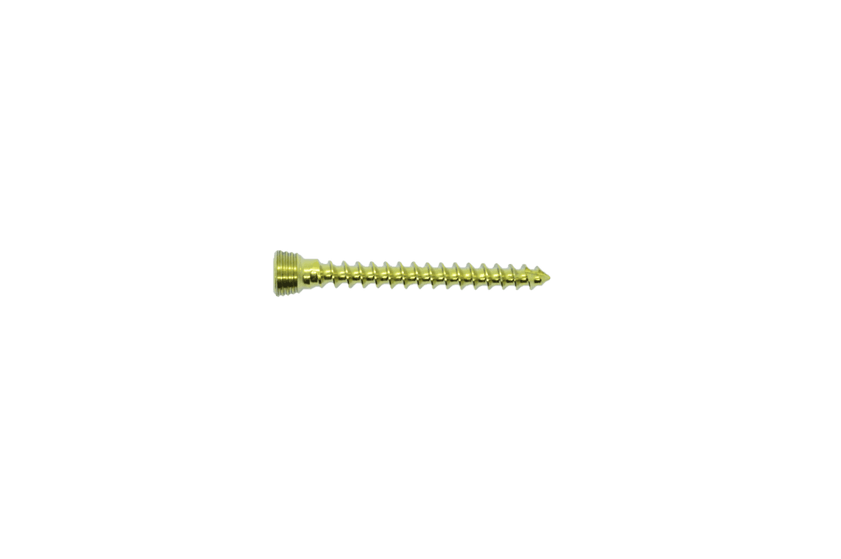 Locking Screw